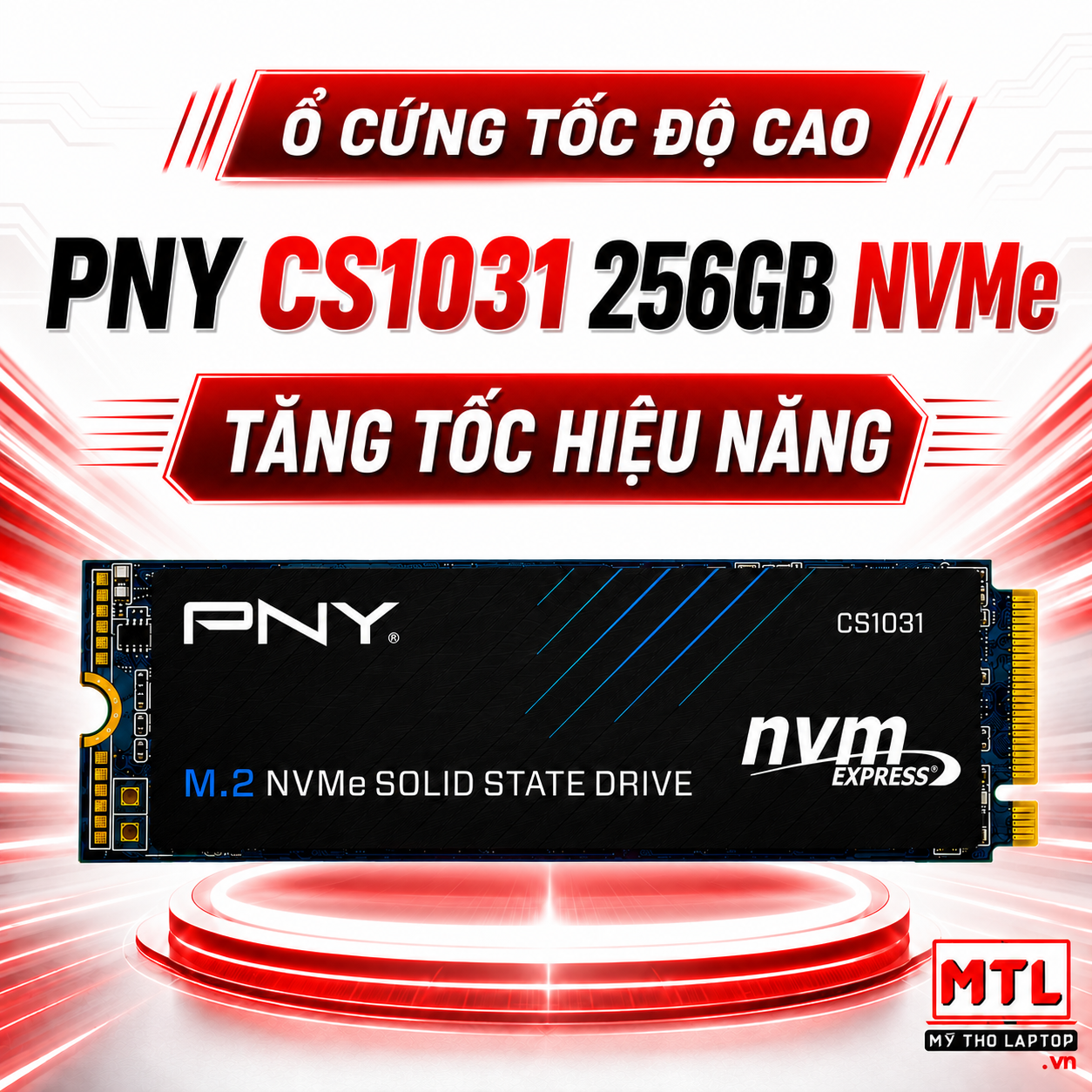 SSD NVMe 256GB PNY CS1031 NVMe PCIe Gen3 x4