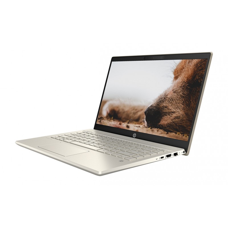 HP Pavilion 14-ce2040TU | Core i5 8265U | Ram 8GB | SSD 256 GB | 14 FHD